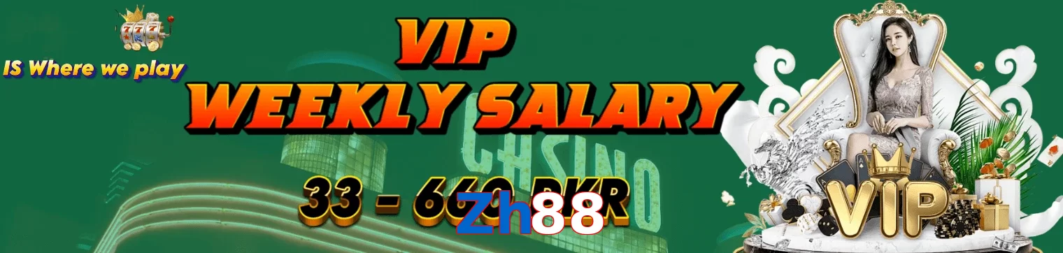 Zh88 interface sample